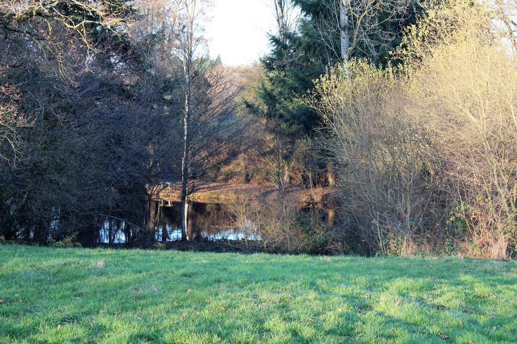 La Petite Jeusseliniere Larchamp Exterior foto
